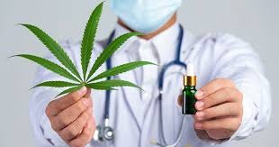 Cannabis medicinal e o direito à saúde: os desafios judiciais para acesso ao tratamento no Brasil